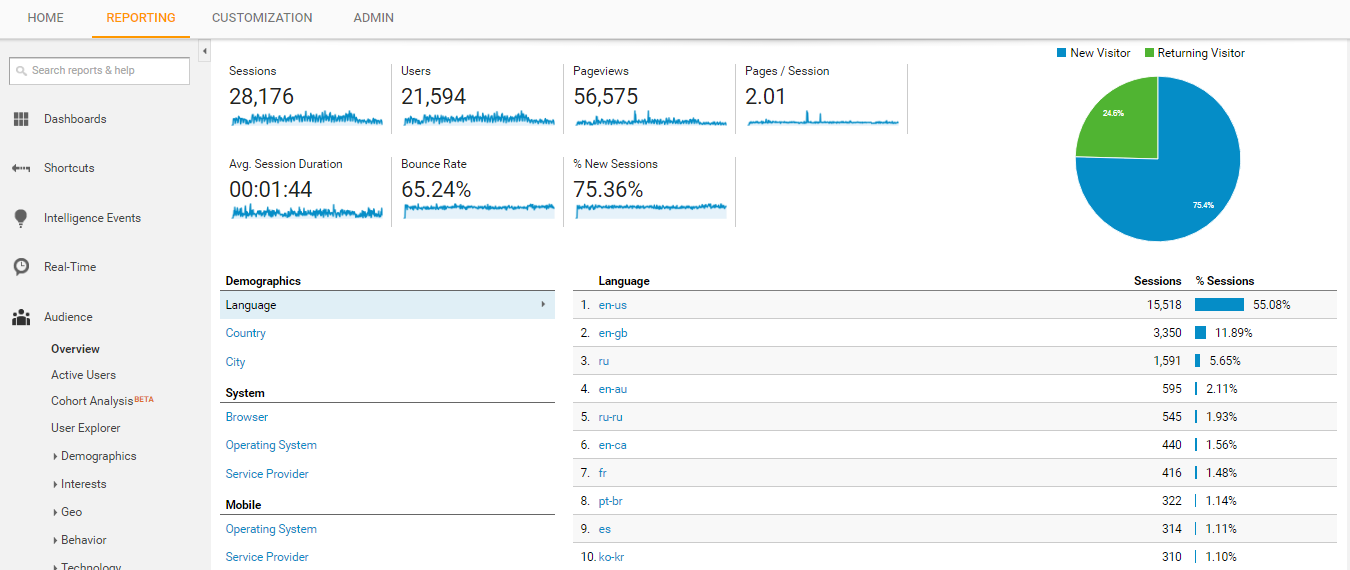 Visitor Analysis Report